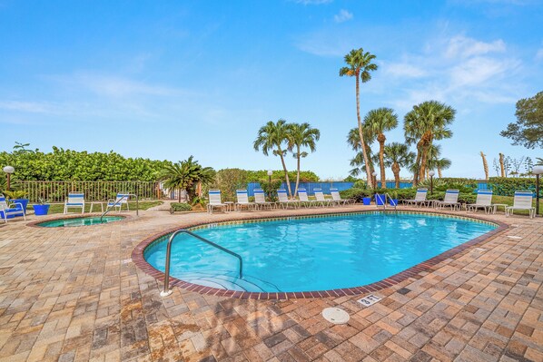 A swimming pool with lounge chairs and palm trees.