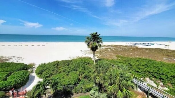 A beach view with a palm tree, a path leading to the beach, and a clear sky.