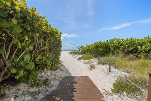 A wooden pathway leading to a beach with dense foliage on one side and a sandy area with vegetation on the other.