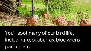 A garden with a bird feeder and rocks.