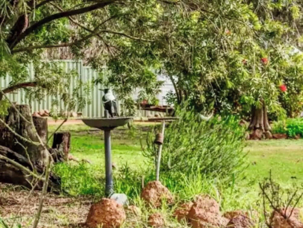 A garden with a bird feeder and rocks.