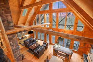 Tv, pejs, dvd-afspiller, bordfodbold