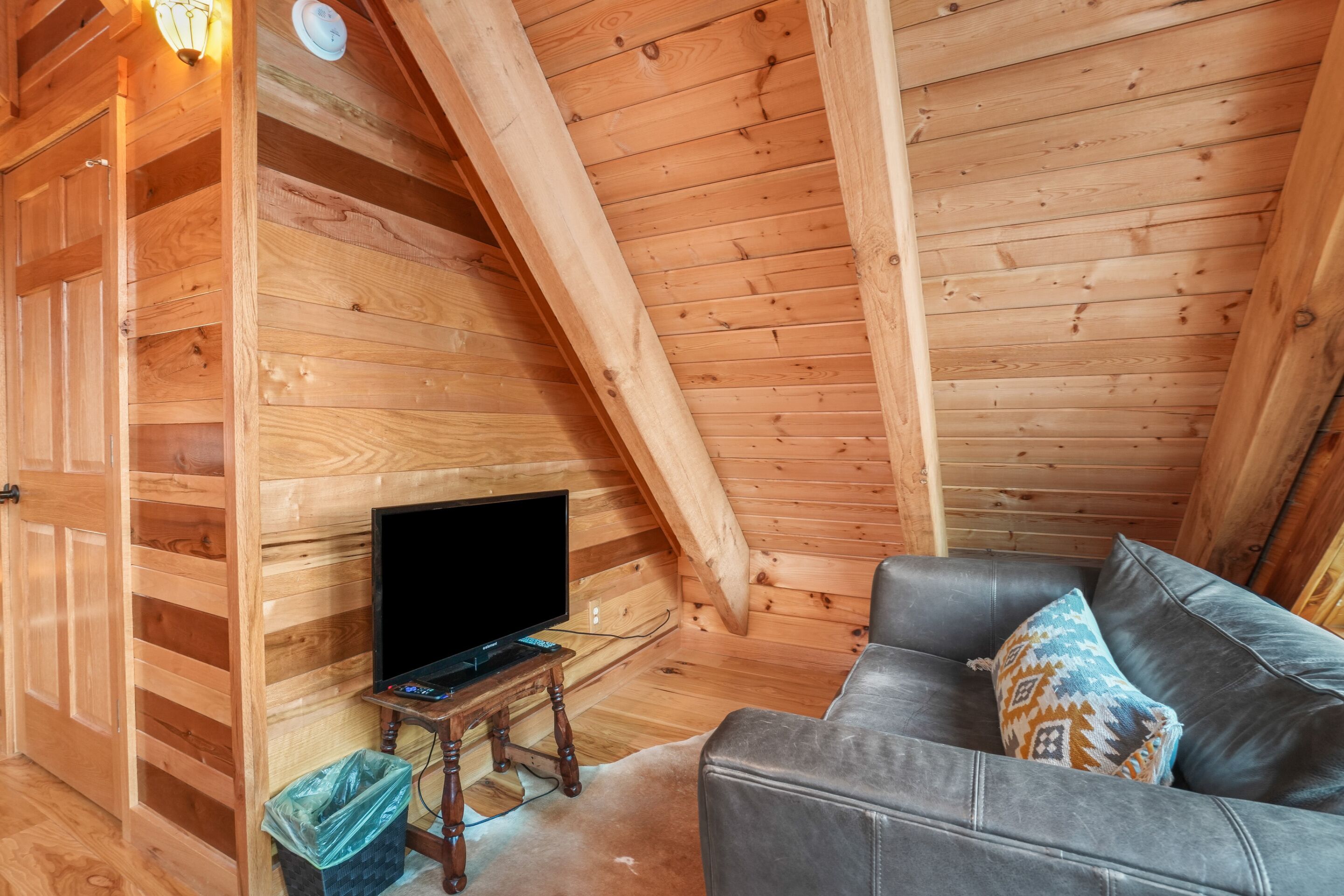 Fireplace, DVD player, books, video library