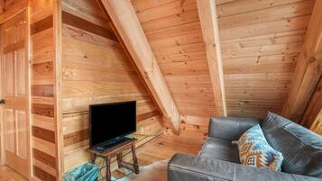 Fireplace, DVD player, books, video library