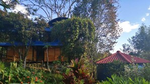 Una casa con techo azul, rodeada de abundante vegetación y plantas florecientes.