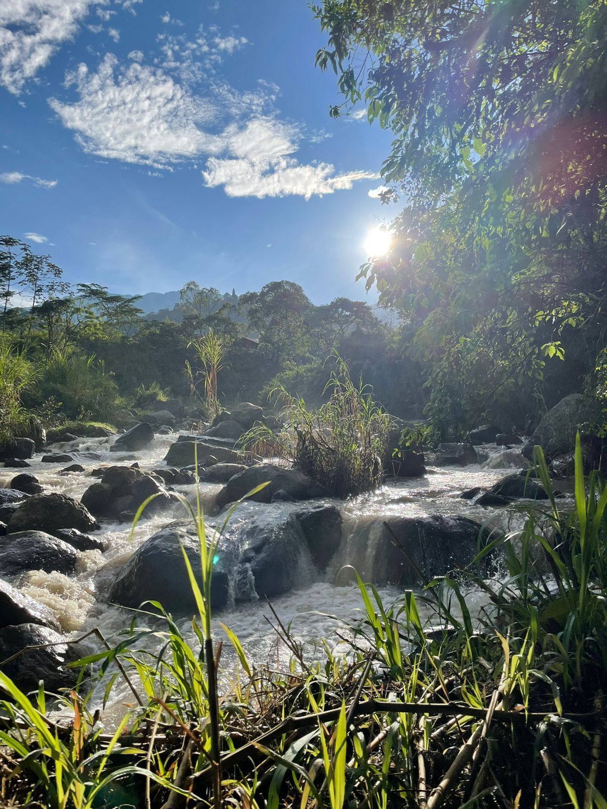 A river flowing through a rocky landscape with sunlight filtering through trees.