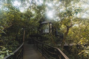 A wooden pathway leading to a rustic cabin surrounded by dense foliage. - Oshom Bali at Nuanu Creative City (Tabanan)