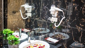 Une salle de bain avec un lavabo en marbre, deux miroirs, un sèche-cheveux et une plante en pot.