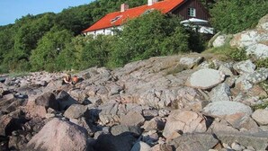 Uklassifisert bilde, 3 av 22, knapp