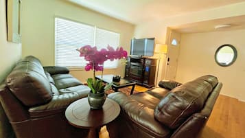 Smart TV, fireplace, DVD player, books