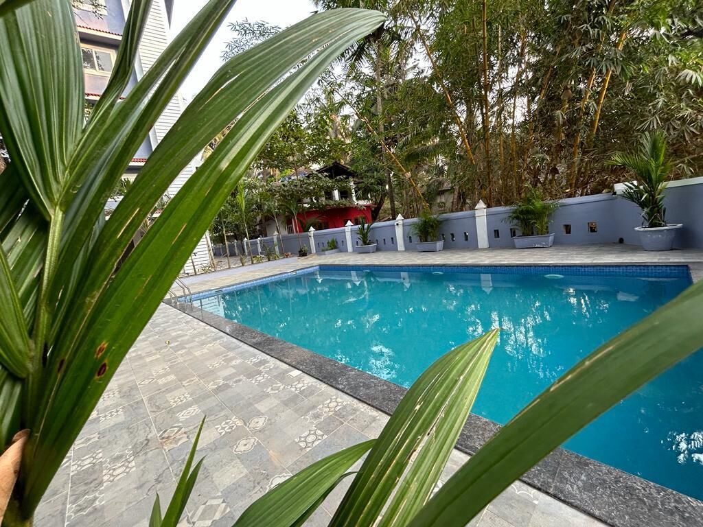 A swimming pool with a tiled deck, surrounded by potted plants and a white wall.