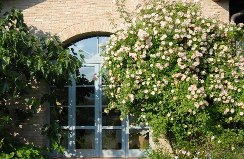 La Cenerara - Countryside Villa