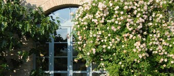 La Cenerara - Countryside Villa