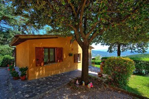 Property grounds - Il Salice - Cortona ,Tuscany (Cortona)