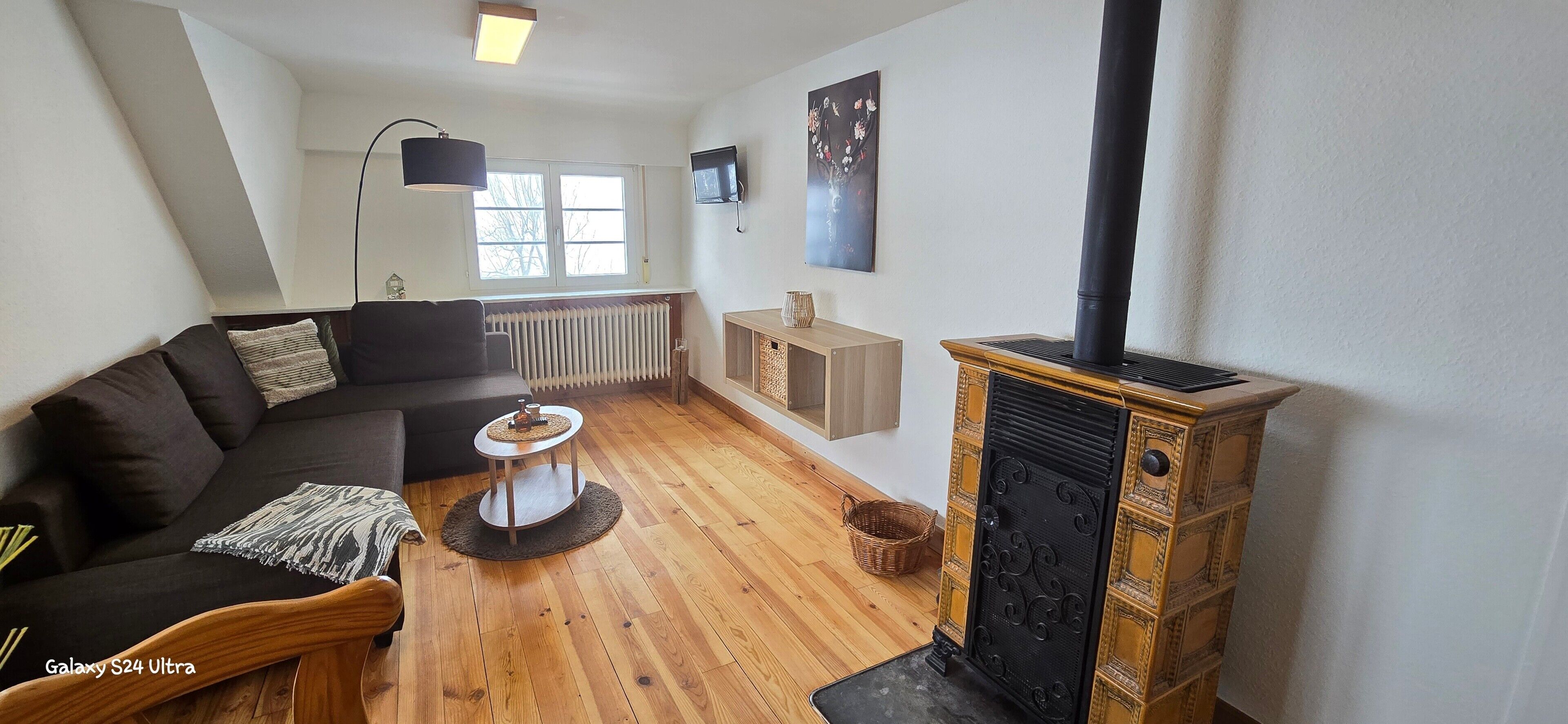 Televisión y chimenea 