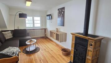 Télévision, cheminée