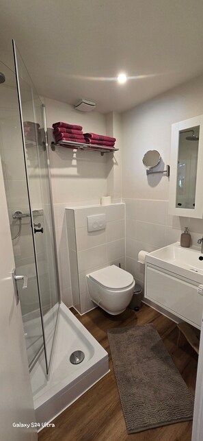 Chuveiro, secador de cabelo, toalhas de banho 