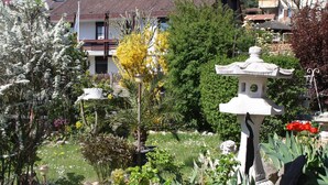 A garden with a stone lantern, various plants, and a building in the background.