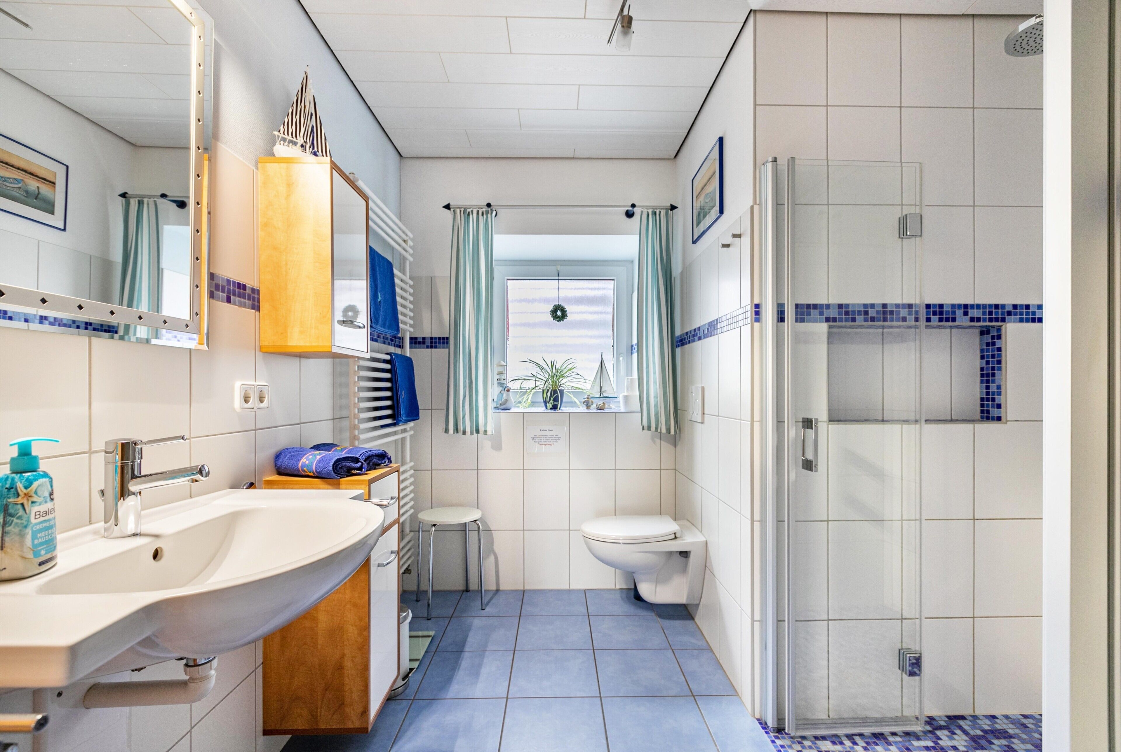 Ducha, secador de pelo y toallas