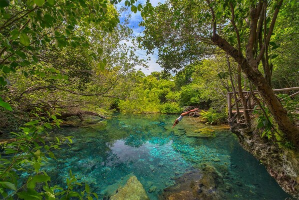 A natural pool surrounded by lush greenery and a wooden bridge. - Modern Villa With Full Service Staff Close to Beach and Golf (Punta Cana)