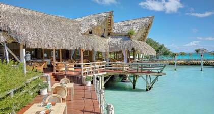 Modern Villa With Full Service Staff Close to Beach and Golf