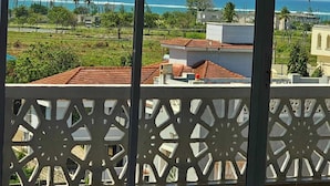 A balcony with a view of the ocean and a residential area.