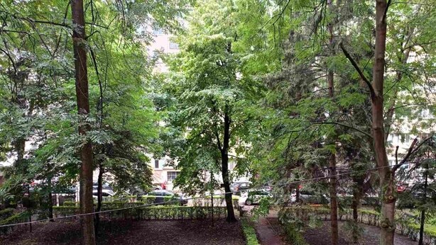 Ein Park mit Wegen, Bänken und Bäumen.