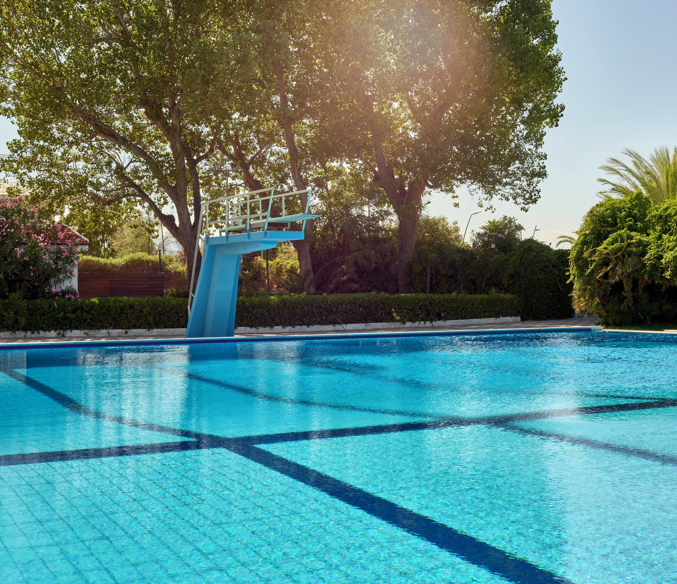 A swimming pool with a diving board, surrounded by lush greenery and trees.