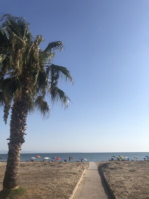 A beach with a palm tree, a pathway, and umbrellas in the distance. - Il Carrubo - Three Bedroom Apartment, Sleeps 5 (Torre Grande)