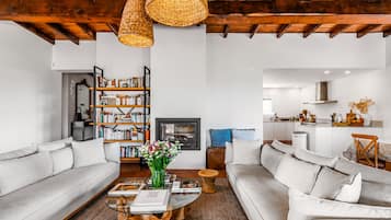 TV connectée, cheminée, jeux vidéo, lecteur de DVD