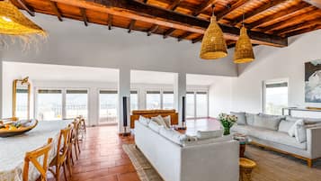 TV connectée, cheminée, jeux vidéo, lecteur de DVD