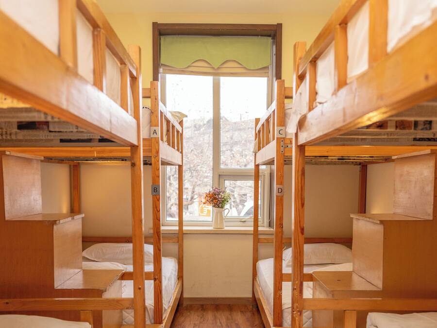 Un dormitorio con literas, una ventana que da a árboles y suelo de madera.
