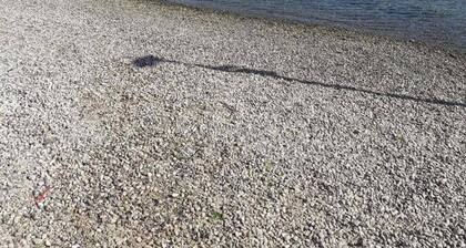 Traditional Dalmatian house ''My Peace'' in Mali Ston