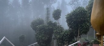 NATURE'S CRADLE RESORT
YERCAUD