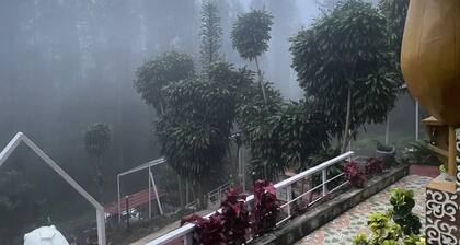 NATURE'S CRADLE RESORT
YERCAUD