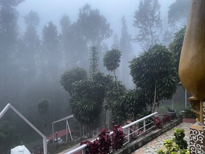 NATURE'S CRADLE RESORT
YERCAUD