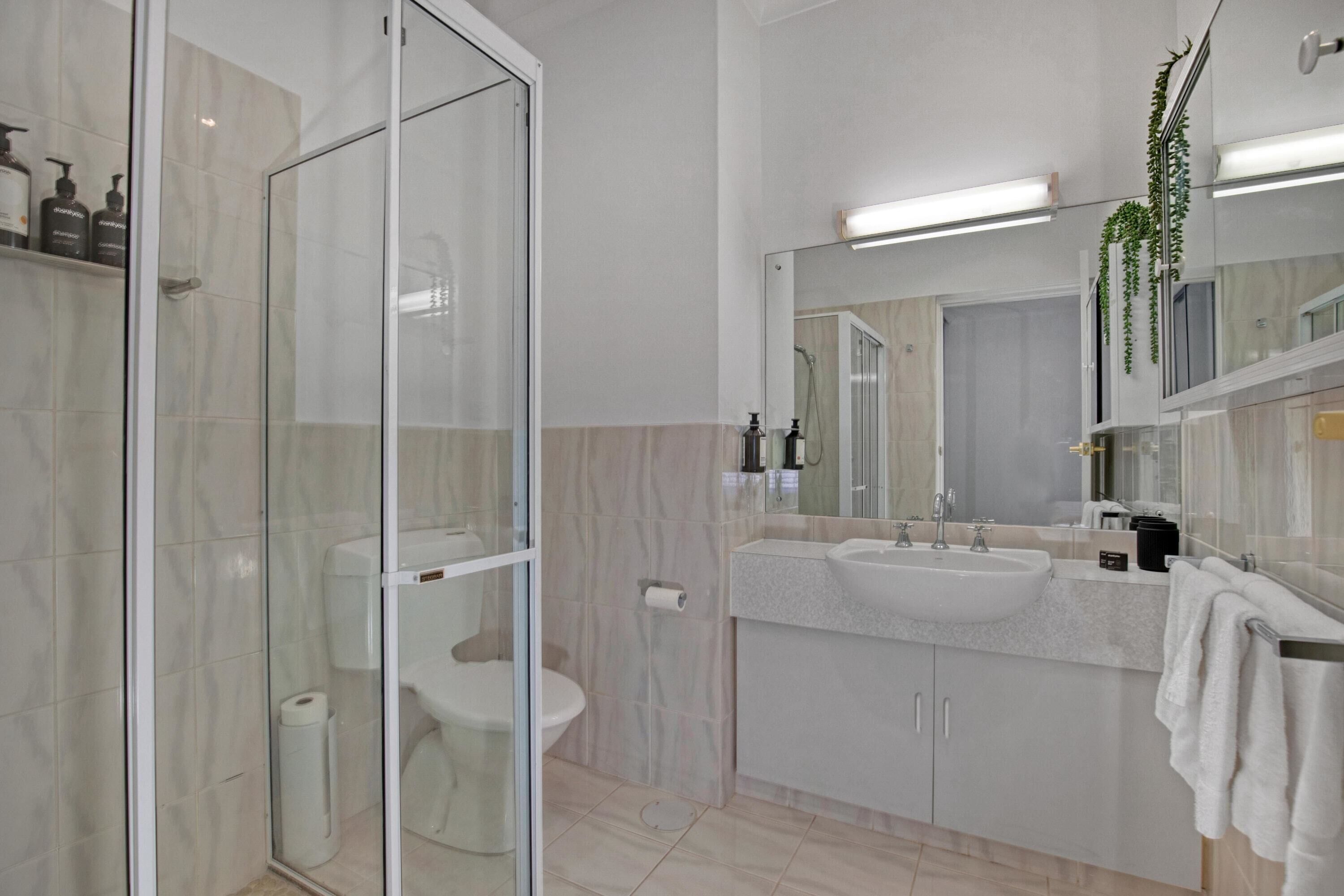 Shower, hair dryer, towels