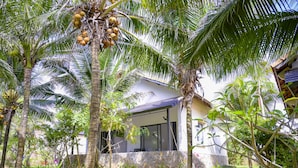 Una casa circondata da palme e un muro in pietra.