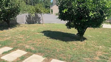 Terrein van de accommodatie