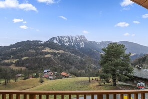 Property grounds - Charmant et Spacieux Chalet Moderne (Ormont-Dessous)