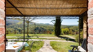 Un espace extérieur abrité, aménagé avec une table dressée pour les repas, une chaise et offrant une vue sur un paysage boisé.