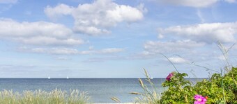 Pole position for beach, country, city and ferries
