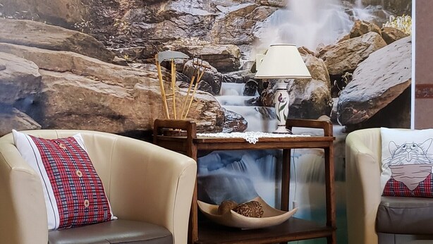 Une pièce décorée d’une grande fresque murale représentant une cascade, avec un canapé beige, une petite table sur laquelle se trouve une lampe, et un pouf gris.
