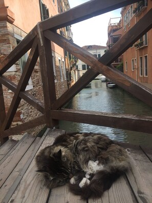 Property grounds - MOORS 1, NEW, BEAUTIFUL VIEW, IN HISTORIC CENTER, 3 BEDROOMS, 3 BATHROOMS, CENTRAL (Venezia)