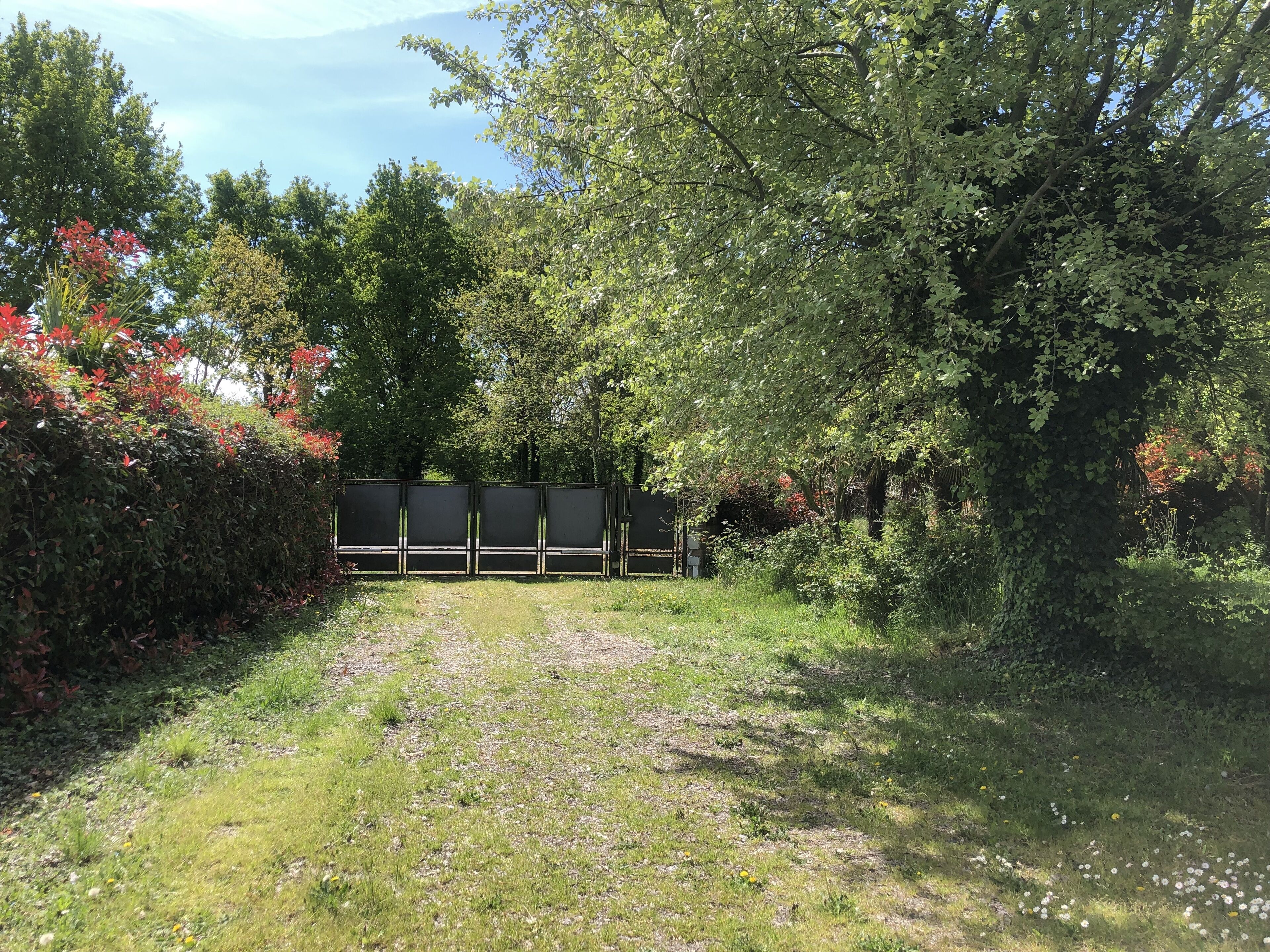 Een pad dat door een tuin slingert, met een hek en bomen.