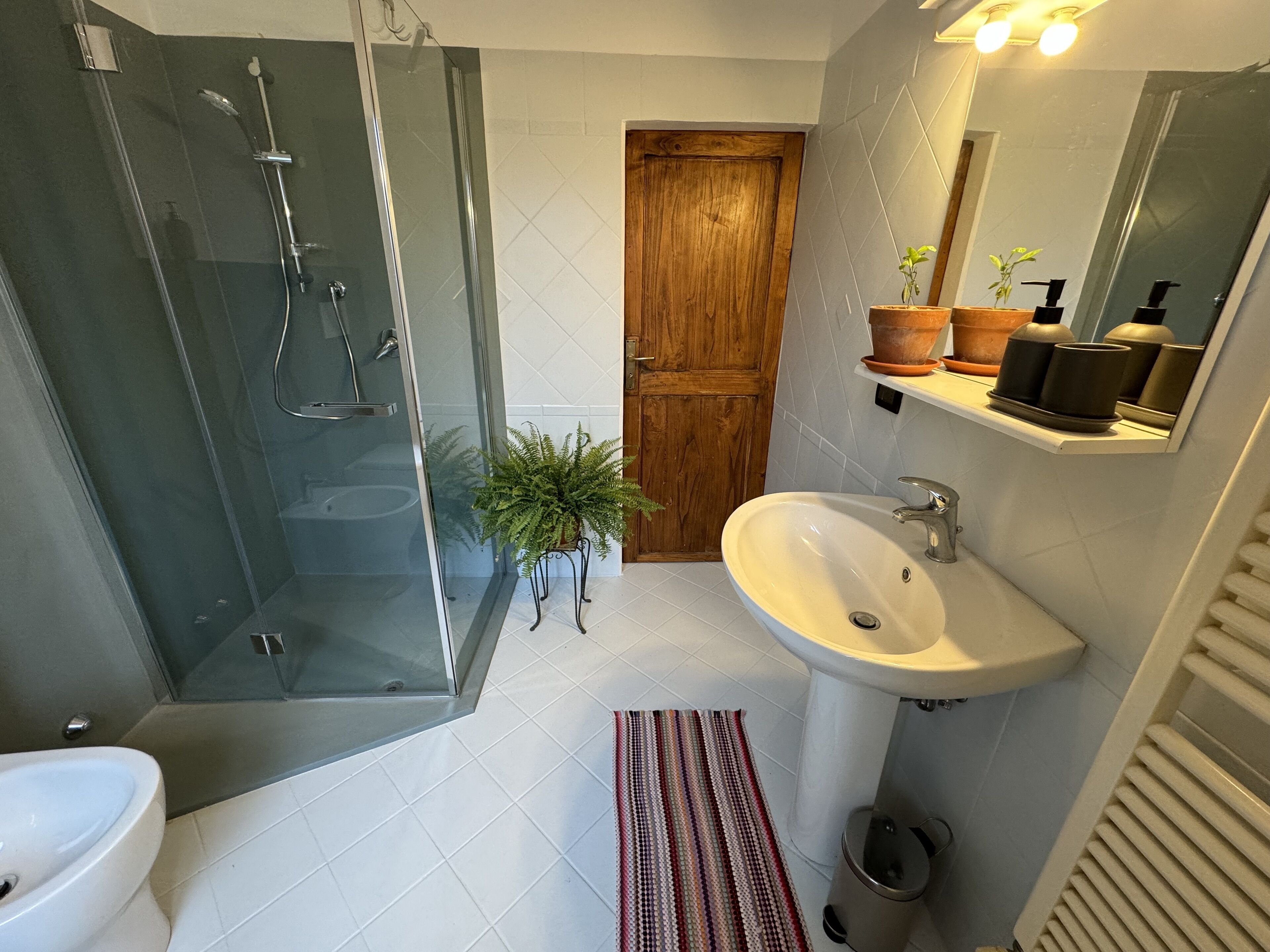 Un baño con cabina de ducha de vidrio, un lavamanos blanco, una puerta de madera y una pequeña planta en maceta.