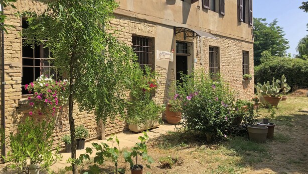 A rustic building with multiple windows, some with shutters, surrounded by potted plants and a garden area. - Family room Fico's colors (San Lorenzo)