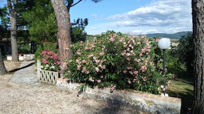 Property grounds - I Pini House - Country cottage ideal for vacations with family and children (Le Rocce)