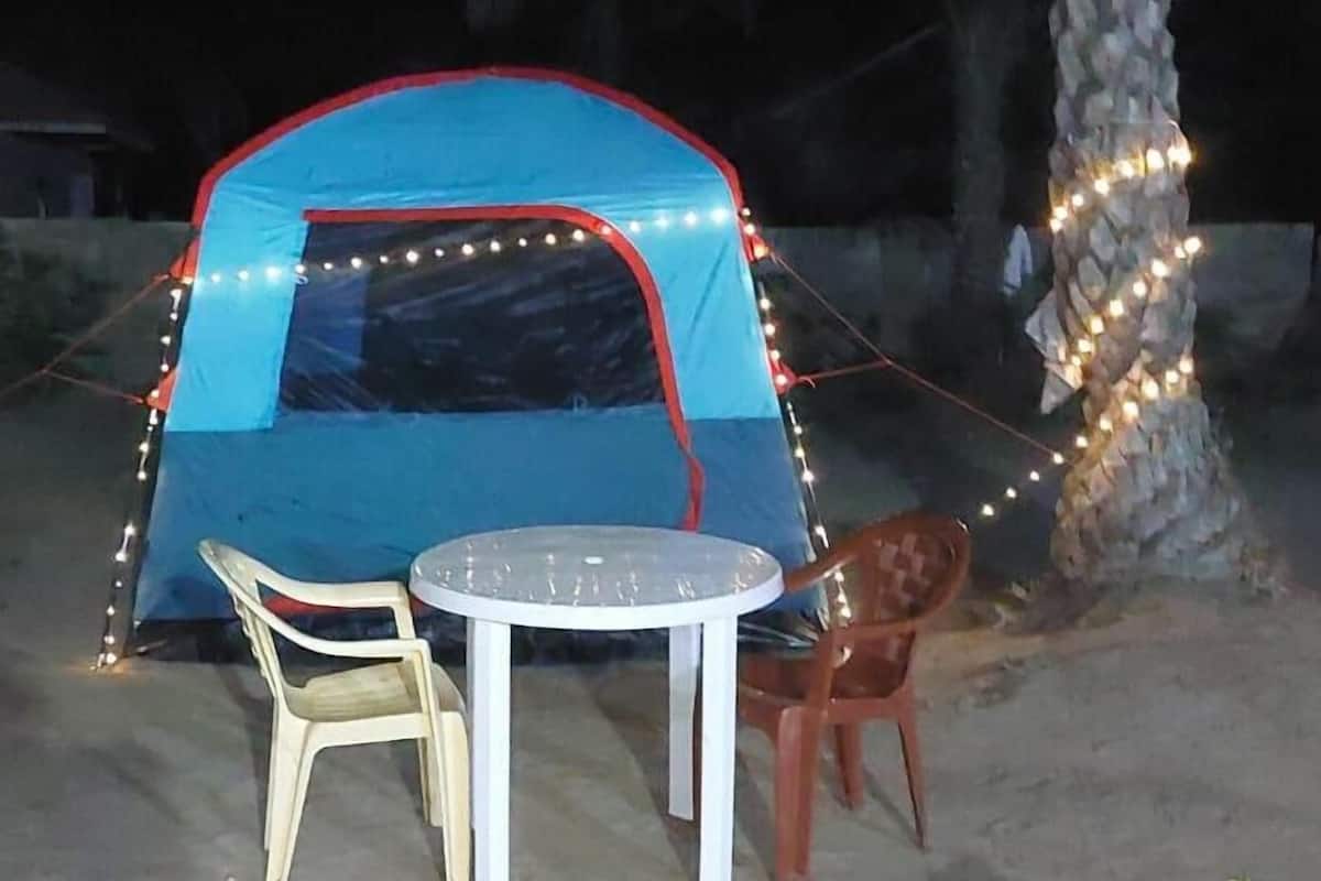 Basic Tent | 1 bedroom
