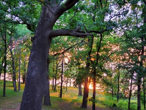 Lakeside Retreat Summ